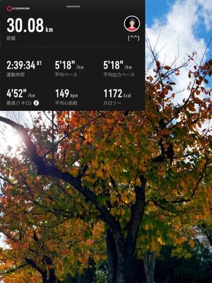 椿 こずえの写メ日記｜ローテンブルク 吉原高級店ソープ