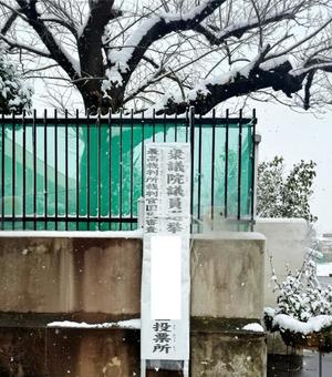 椿 こずえの写メ日記｜ローテンブルク 吉原高級店ソープ