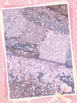 藤崎美奈の写メ日記｜ローテンブルク 吉原高級店ソープ