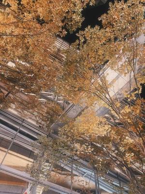 藤崎美奈の写メ日記｜ローテンブルク 吉原高級店ソープ