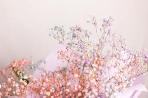 藤崎美奈の写メ日記｜ローテンブルク 吉原高級店ソープ