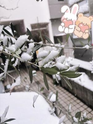 藤崎美奈の写メ日記｜ローテンブルク 吉原高級店ソープ