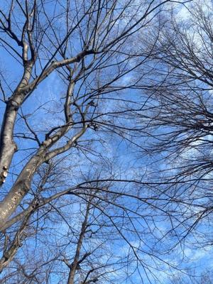 藤崎美奈の写メ日記｜ローテンブルク 吉原高級店ソープ