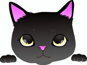 白瀬奈美の写メ日記｜ローテンブルク 吉原高級店ソープ