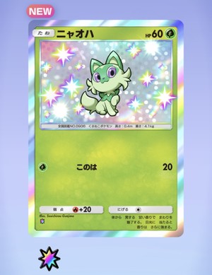 白瀬奈美の写メ日記｜ローテンブルク 吉原高級店ソープ