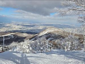 志摩かおるの写メ日記｜ローテンブルク 吉原高級店ソープ