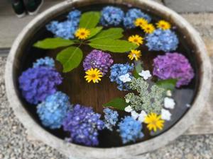 土屋まなみの写メ日記｜ローテンブルク 吉原高級店ソープ
