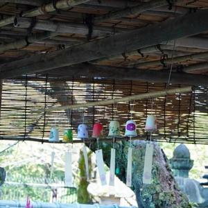 土屋まなみの写メ日記｜ローテンブルク 吉原高級店ソープ