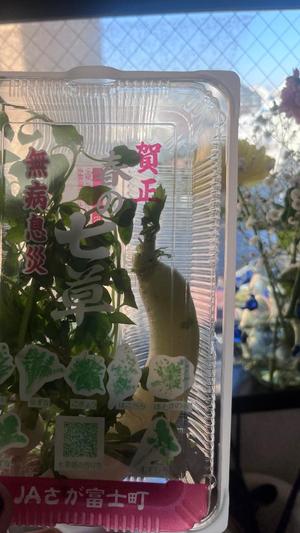 芦屋 潤の写メ日記｜セグレターリオ 吉原高級店ソープ