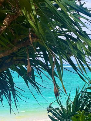 水愛の写メ日記｜セグレターリオ 吉原高級店ソープ