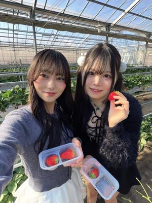 あずさの写メ日記｜セグレターリオ 吉原高級店ソープ