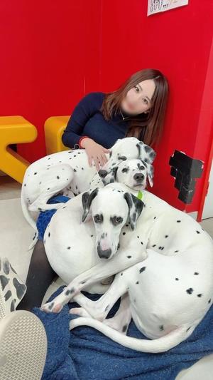 椿あやめの写メ日記｜セグレターリオ 吉原高級店ソープ