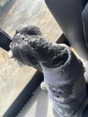 優衣の写メ日記｜セグレターリオ 吉原高級店ソープ