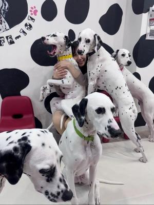 翼の写メ日記｜セグレターリオ 吉原高級店ソープ