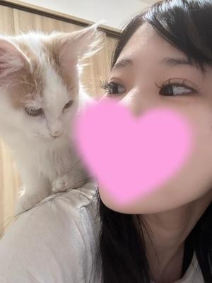 ひなみの写メ日記｜セグレターリオ 吉原高級店ソープ