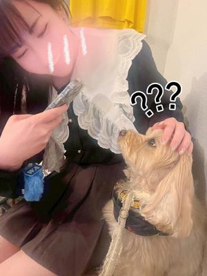 まことの写メ日記｜セグレターリオ 吉原高級店ソープ