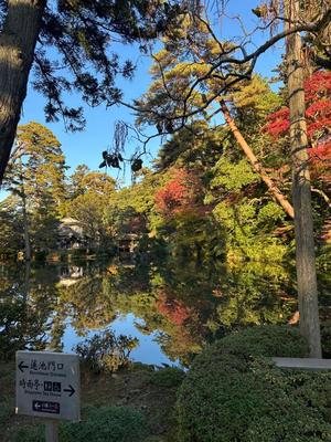 さくらの写メ日記｜セグレターリオ 吉原高級店ソープ