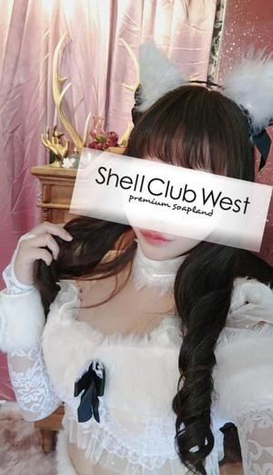 前田　あおいの写メ日記｜シェルクラブ・ウエスト 川崎高級店ソープ