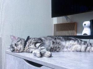 ねがうの写メ日記｜スカイ 吉原高級店ソープ