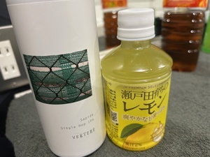 おとの写メ日記｜スカイ 吉原高級店ソープ