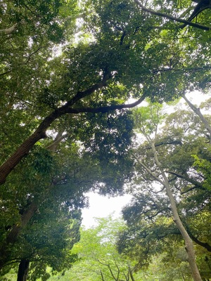 さら☆の写メ日記｜粋美 吉原高級店ソープ