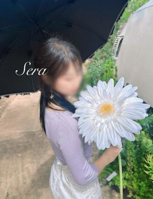 Seraの写メ日記｜リッチ～THE RICH～ 吉原高級店ソープ