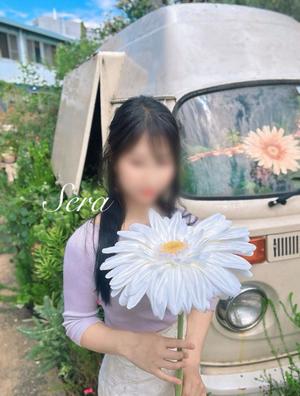 Seraの写メ日記｜リッチ～THE RICH～ 千葉県・栄町高級店ソープ