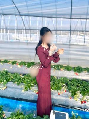 Seraの写メ日記｜リッチ～THE RICH～ 千葉県・栄町高級店ソープ