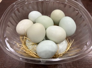 Rinの写メ日記｜リッチ～THE RICH～ 吉原高級店ソープ