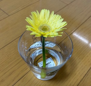 Ainoの写メ日記｜リッチ～THE RICH～ 吉原高級店ソープ