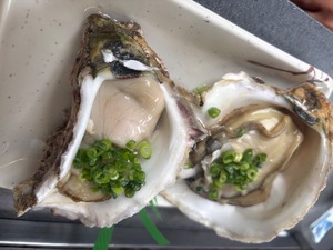 Namieの写メ日記｜リッチ～THE RICH～ 吉原高級店ソープ