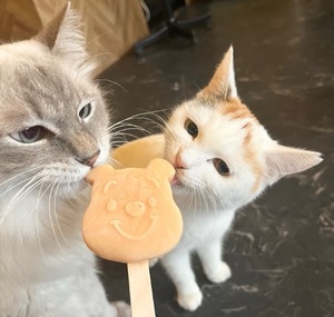 Amuの写メ日記｜リッチ～THE RICH～ 吉原高級店ソープ