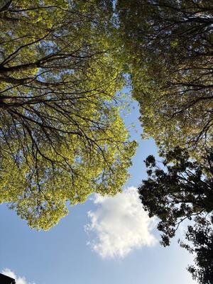 Amuの写メ日記｜リッチ～THE RICH～ 千葉県・栄町高級店ソープ