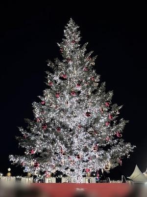 Mayuの写メ日記｜リッチ～THE RICH～ 吉原高級店ソープ