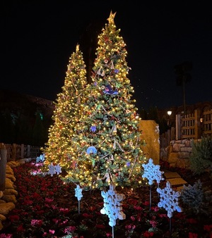 Yuukaの写メ日記｜リッチ～THE RICH～ 吉原高級店ソープ