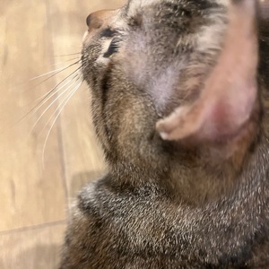 Kirinoの写メ日記｜リッチ～THE RICH～ 吉原高級店ソープ