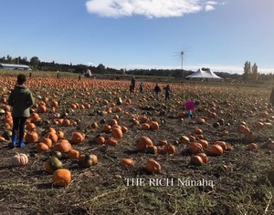 Nanahaの写メ日記｜リッチ～THE RICH～ 吉原高級店ソープ