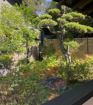 Suzunaの写メ日記｜リッチ～THE RICH～ 吉原高級店ソープ