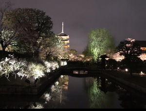 Marikaの写メ日記｜リッチ～THE RICH～ 千葉県・栄町高級店ソープ