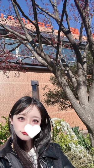 ゆづきの写メ日記｜TOKYO BUNNYS CLUB 吉原高級店ソープ