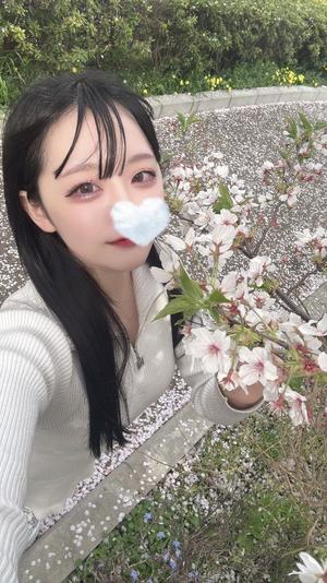 ゆづきの写メ日記｜TOKYO BUNNYS CLUB 吉原高級店ソープ