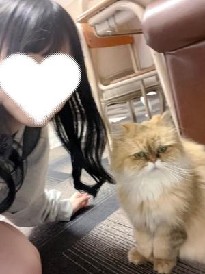 みくるの写メ日記｜TOKYO BUNNYS CLUB 吉原高級店ソープ