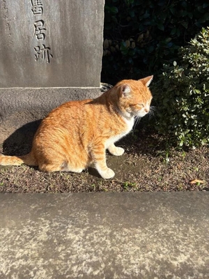 もかの写メ日記｜TOKYO BUNNYS CLUB 吉原高級店ソープ
