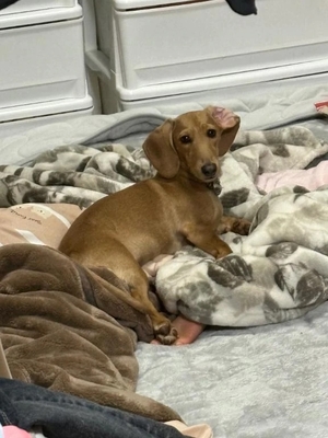 もかの写メ日記｜TOKYO BUNNYS CLUB 吉原高級店ソープ