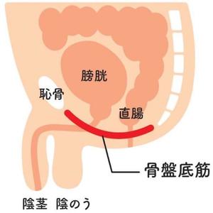 花嶋りくの写メ日記｜ヴェルサイユ 吉原高級店ソープ