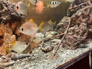 花嶋りくの写メ日記｜ヴェルサイユ 吉原高級店ソープ