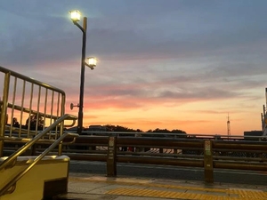 花嶋りくの写メ日記｜ヴェルサイユ 吉原高級店ソープ