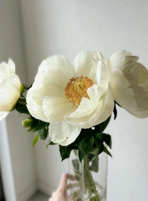 みなみの写メ日記｜ヴェルサイユ 吉原高級店ソープ