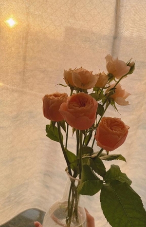 みなみの写メ日記｜ヴェルサイユ 吉原高級店ソープ