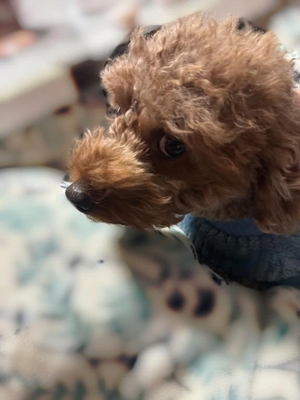 のんの写メ日記｜ヴェルサイユ 吉原高級店ソープ